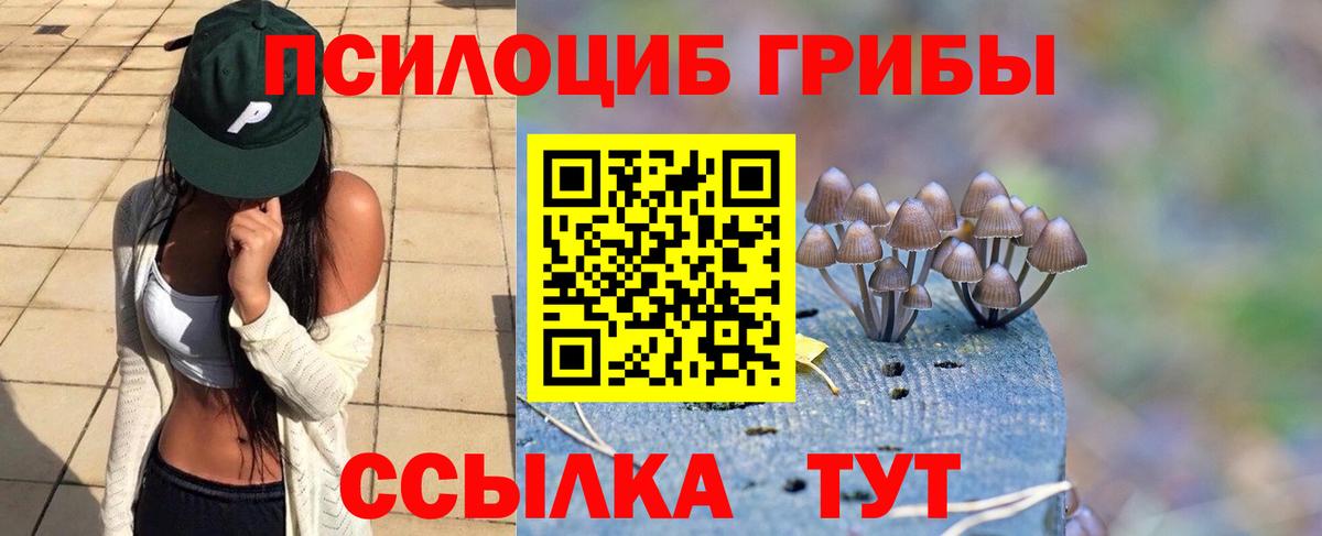 купить  сайты  Вход с VPN  Дедовск  Галлюциногенные грибы Psilocybine cubensis 